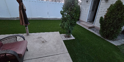 Lush backyard with varied plants and hardscaping