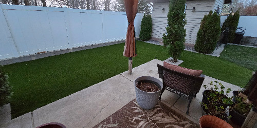 Lush backyard with varied plants and hardscaping