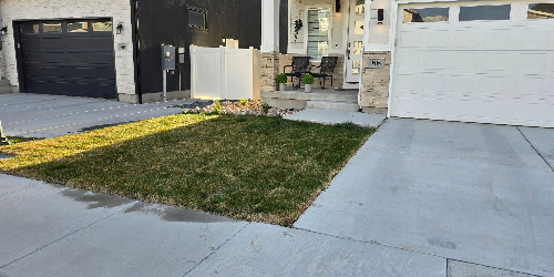 Lush backyard with varied plants and hardscaping