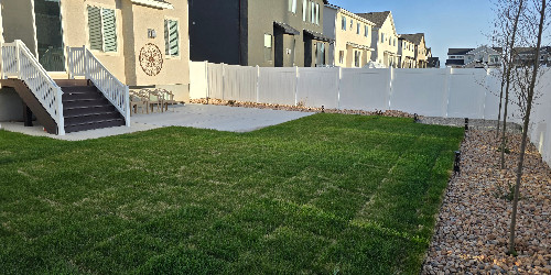 Lush backyard with varied plants and hardscaping