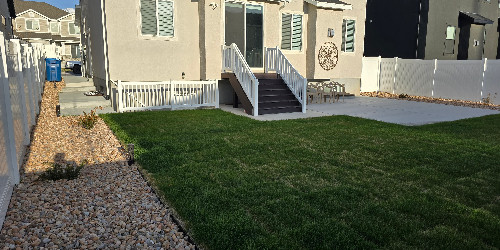 Lush backyard with varied plants and hardscaping