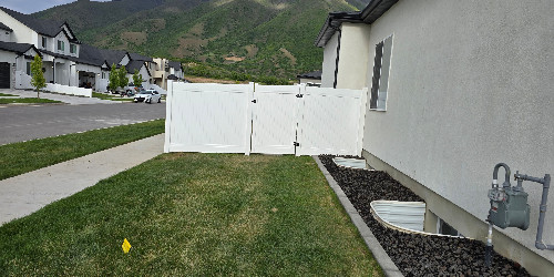 Lush backyard with varied plants and hardscaping