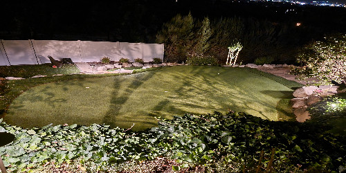 Lush backyard with varied plants and hardscaping
