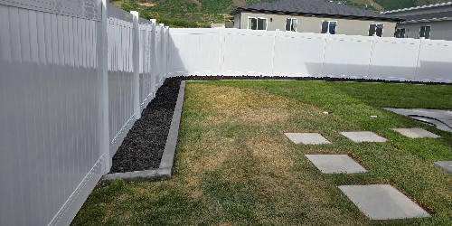 Lush backyard with varied plants and hardscaping