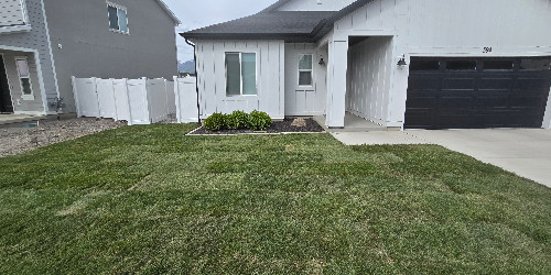 Lush backyard with varied plants and hardscaping