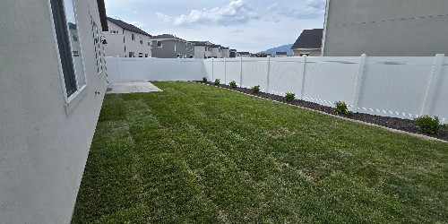 Lush backyard with varied plants and hardscaping