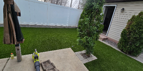 Lush backyard with varied plants and hardscaping