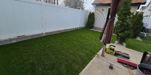 Lush backyard with varied plants and hardscaping