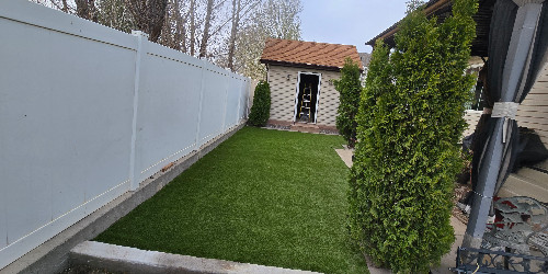 Lush backyard with varied plants and hardscaping