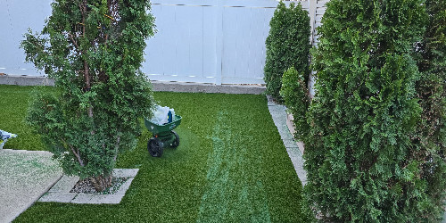 Lush backyard with varied plants and hardscaping