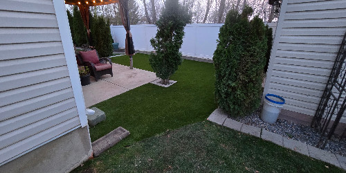 Lush backyard with varied plants and hardscaping